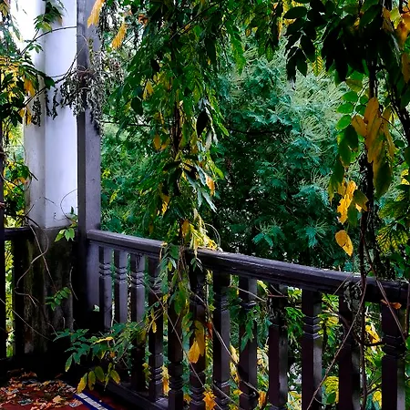 Hotel Palacio Arias Navia